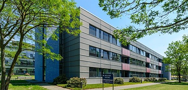 What did he work on first?