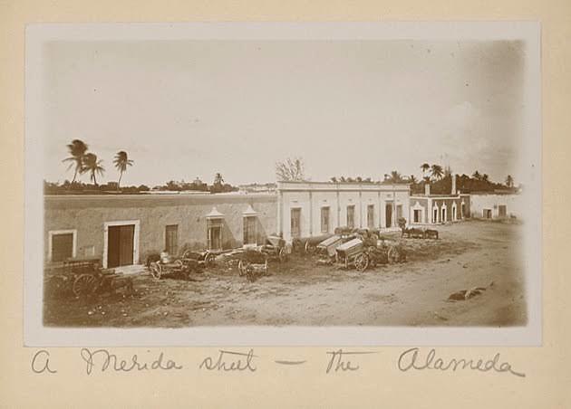 D. Lucas de Gálvez toma el Gobierno.