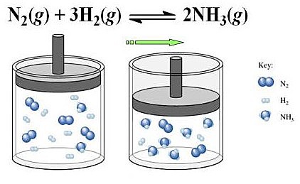 Principio del Equilibrio Químico