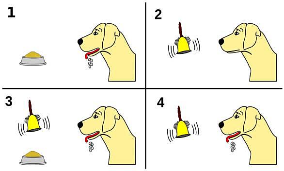 Premio nobel a Pavlov