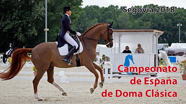 NATIONAL CHAMPION dressage