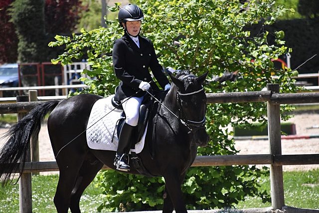 NAVARRE CHAMPIONSHIP dressage