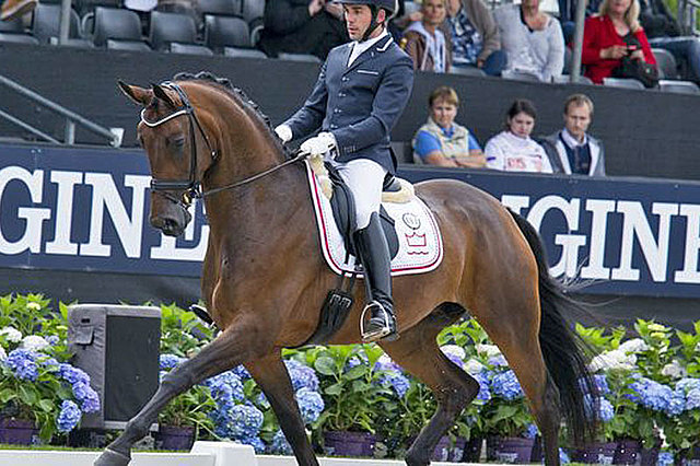 WORLD CHAMPIONSHIP dressage