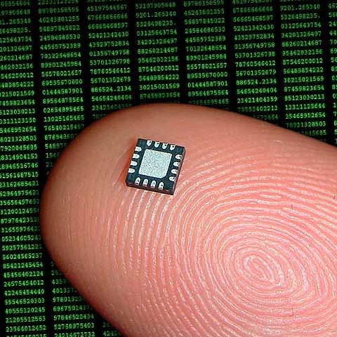 Микрочипы