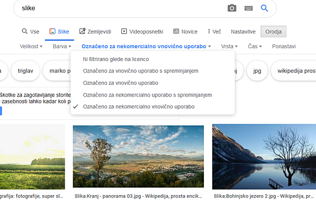 1. V iskalnik vpišeš naslov fotografije, ki jo želiš dodati.