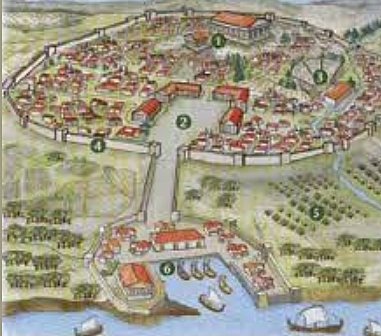 Aparición de las polis