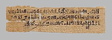 Papyrus in Egypt