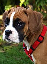 MOMENTO MÁS FELIZ DE ALICIA