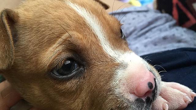 Momento Feliz de Karen