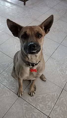 Momento Feliz de LIz