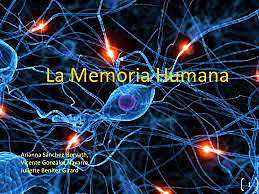 Memoria Humana 1800
