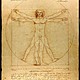 Vitruvian man   lenardo da vinci (1490)
