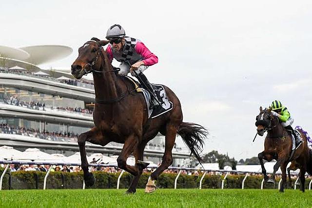 The First Melbourne Cup