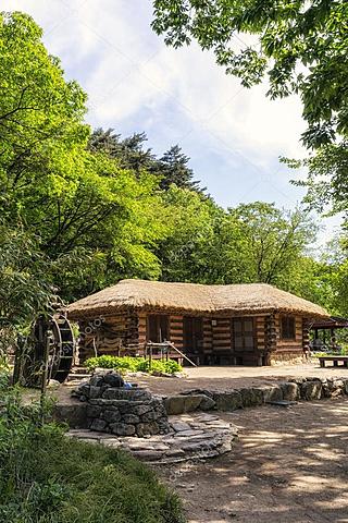 Voy de viaje a mi tierra natal