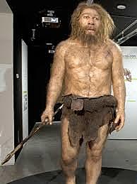 Homo neaderthelesis