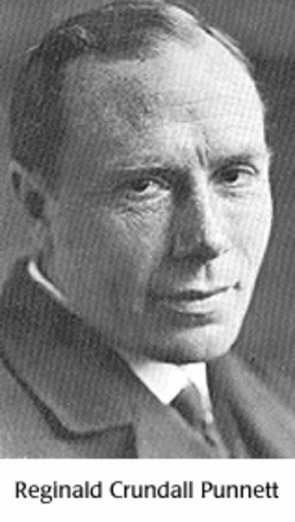 William Bateson and Reginald Punnett