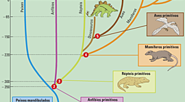 Timeline: evolucao dos vertebrado