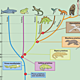 Evolucao.vertebrados