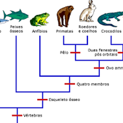 Timeline: evoluçao dos vertebrados