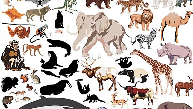 surgimento dos mamiferos