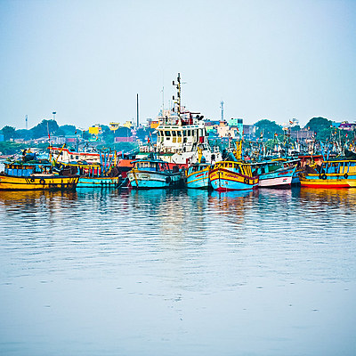 Timeline: Royapuram fishing harbour