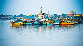 Timeline: Royapuram fishing harbour