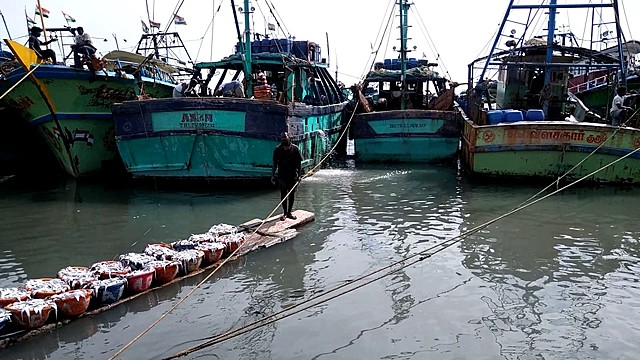 Harbor came into function