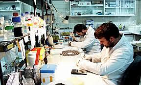 Orientación científica