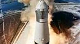 Timeline: Trinity Chisholm