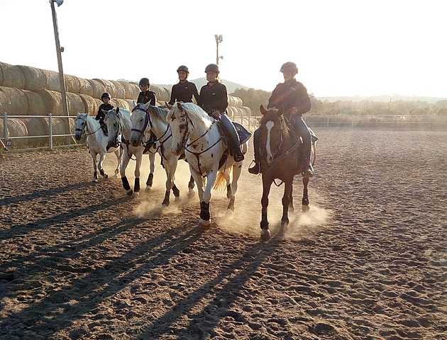 BARCELONA EQUESTRIAN CHALLENGE