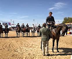 THE WEEK OF COMBOY DRESSAGE