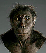 kenyanthropus platyops