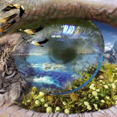 Timeline: Filósofos de la Naturaleza    "Muchas palabras nunca indican sabiduría"-Tales-