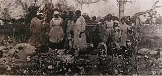 Black slaves begin to appear in censuses