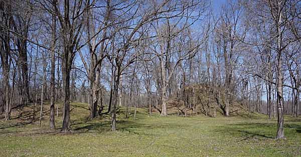 Designation of the Menard-Hodges Site