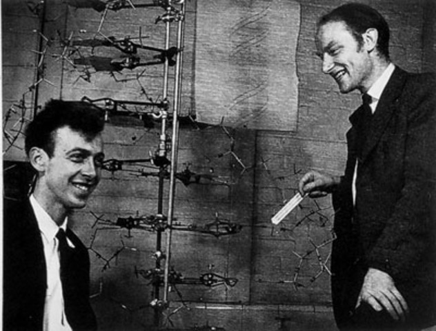 James Watson & Francis Crick