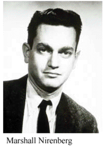 Marshall Nirenberg