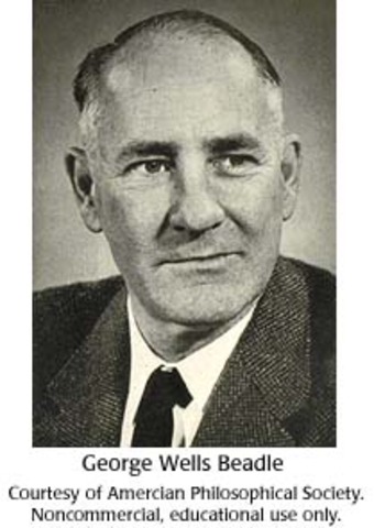 George Beadle and Edward Tatum