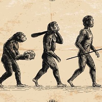 Timeline: Charles Darwin 02-12-1809 - 04-19-1882