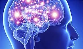 El cerebro como localización de las funciones mentales