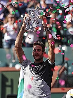 Juan Martin el Potro