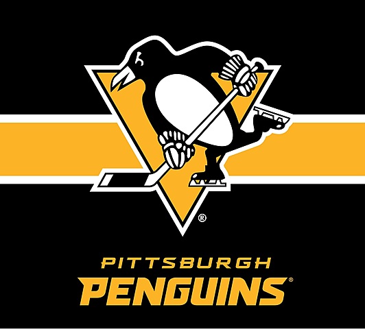 The victory of Pittsburgh Penguins