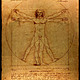 Homo vitruvio