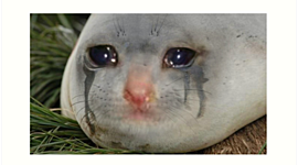 Timeline: min tidslinje världskrig