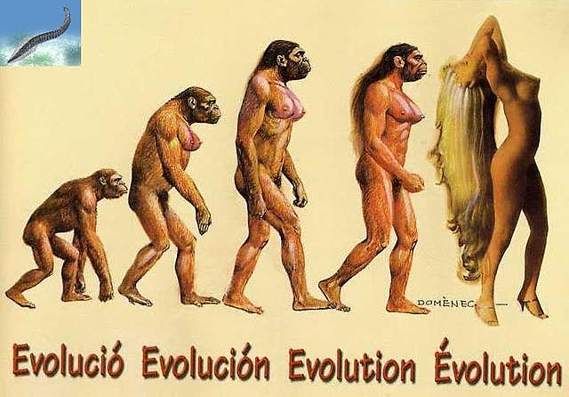la evolucion del hombre