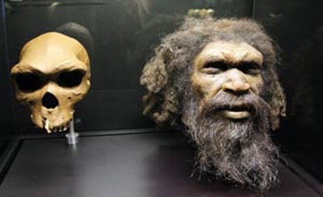 Homo rhodesiensis