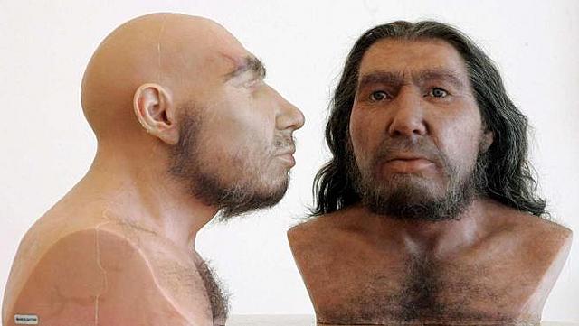 Homo sapiens sapiens