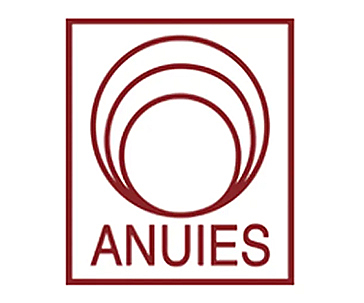 Criterios y estructura