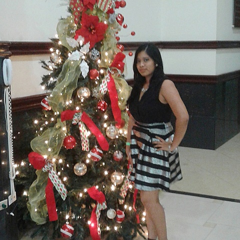 fiesta de navidad