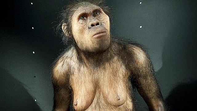 australopithecus